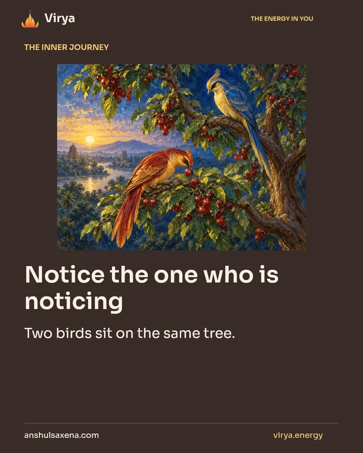 Notice the one who is noticing, card 1 of 7