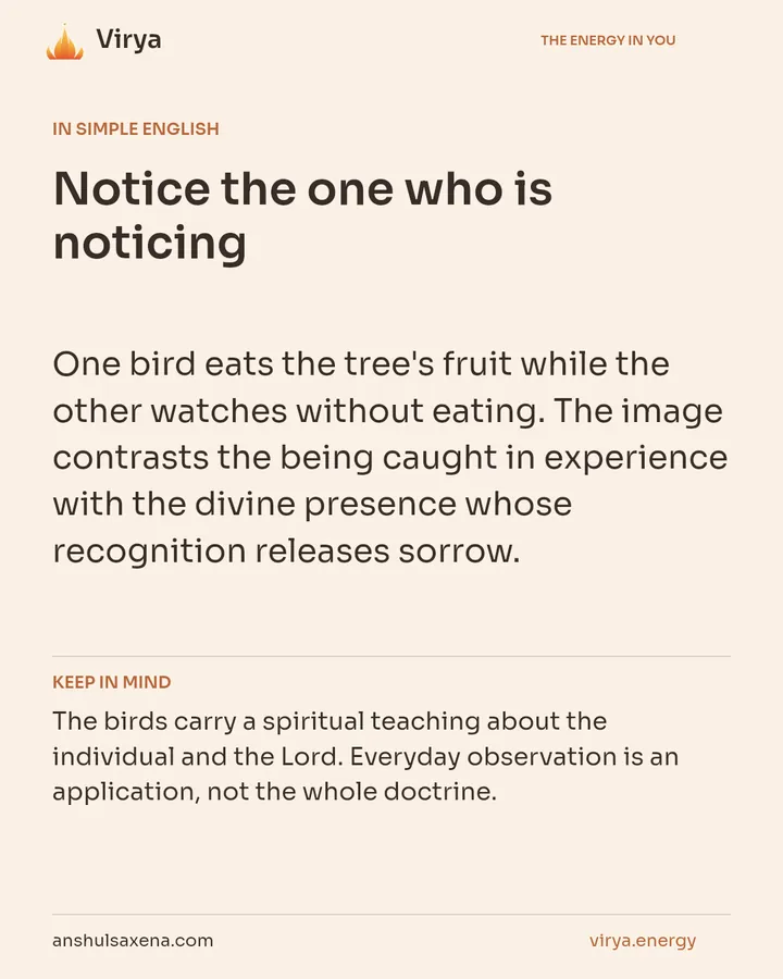 Notice the one who is noticing, card 3 of 7