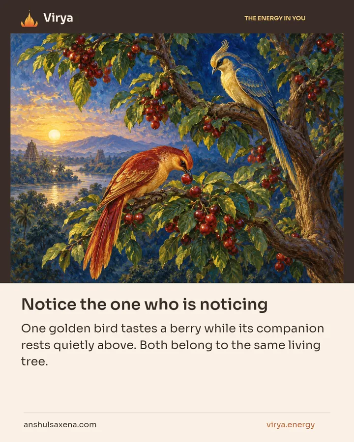 Notice the one who is noticing, card 4 of 7