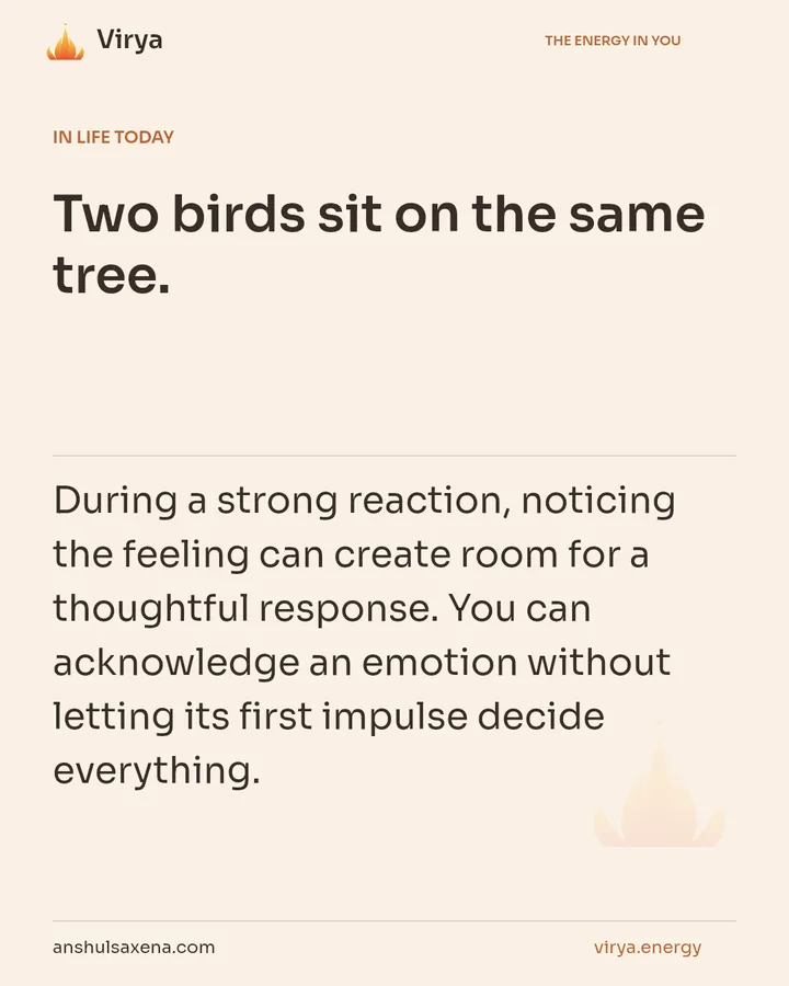 Notice the one who is noticing, card 5 of 7