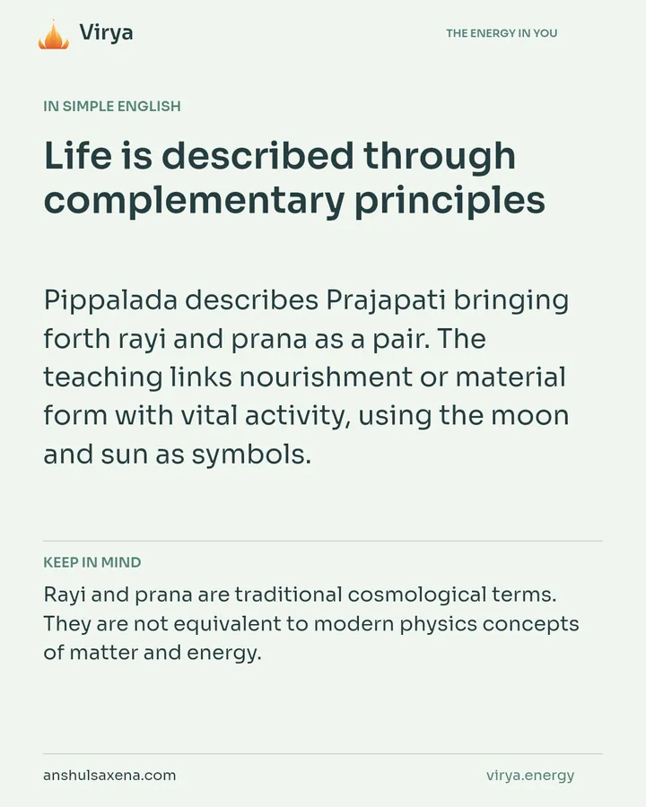 Life is described through complementary principles, card 3 of 7