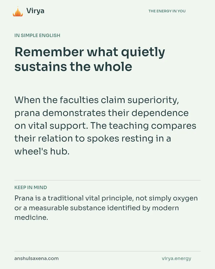 Remember what quietly sustains the whole, card 3 of 7