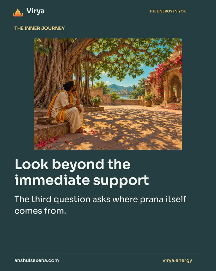 Look beyond the immediate support, card 1 of 7