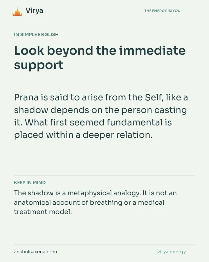 Look beyond the immediate support, card 3 of 7