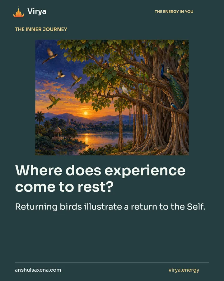 Where does experience come to rest?, card 1 of 7