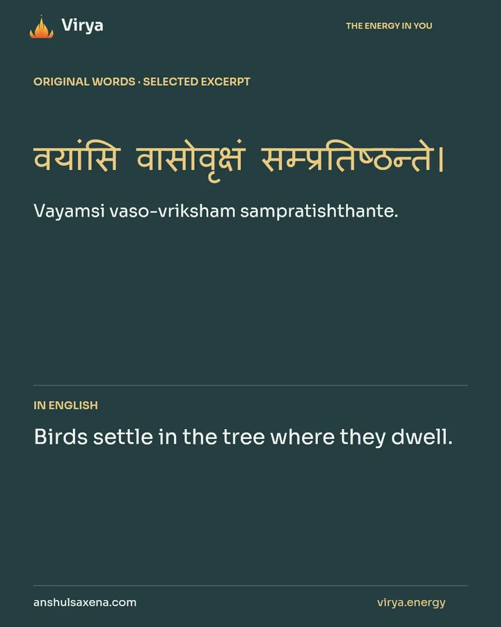 Where does experience come to rest?, card 2 of 7
