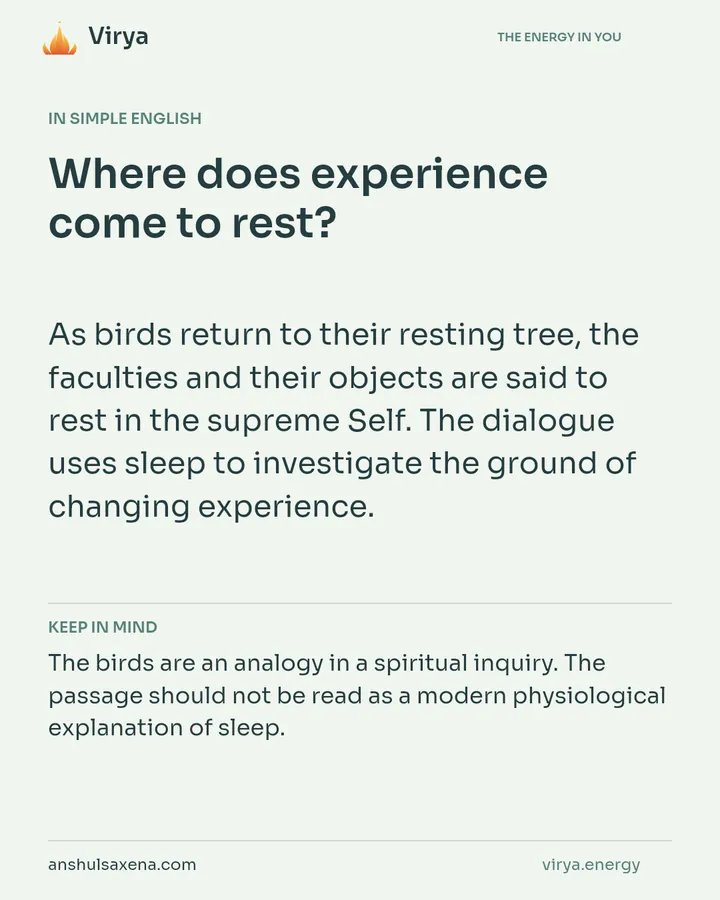 Where does experience come to rest?, card 3 of 7
