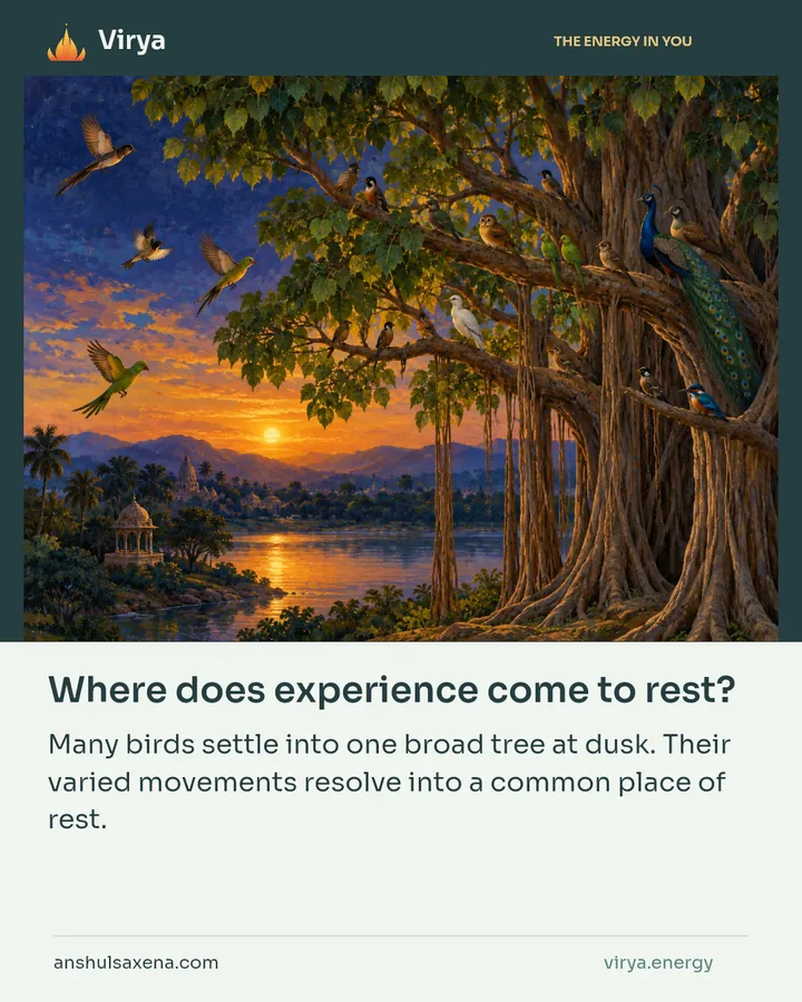 Where does experience come to rest?, card 4 of 7