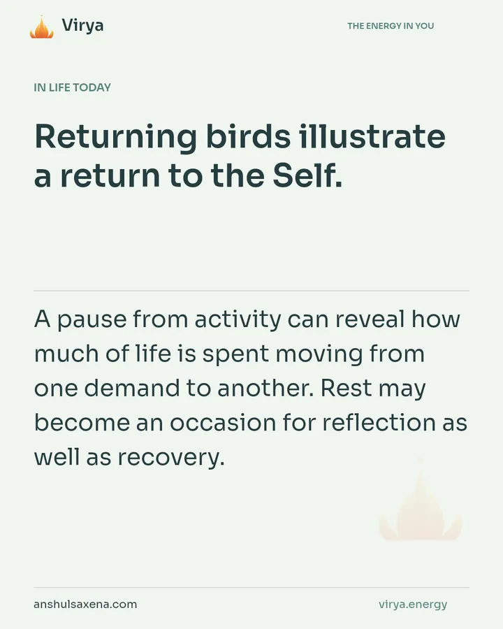 Where does experience come to rest?, card 5 of 7