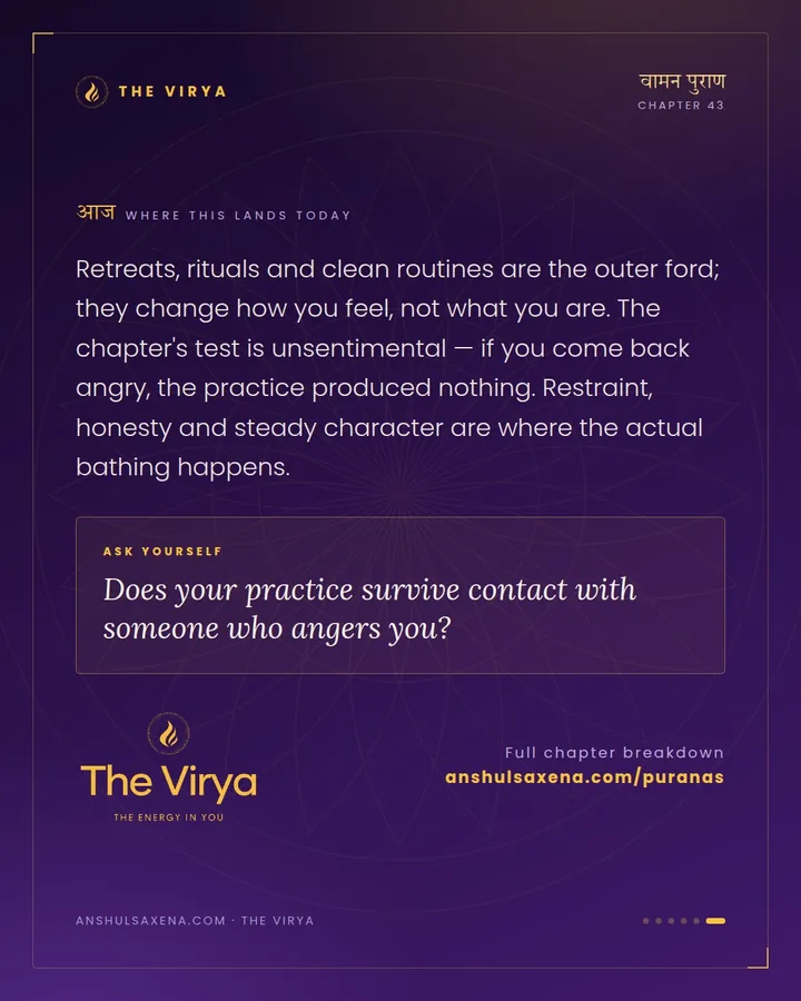 The Self Is a River You Can Bathe In, card 6 of 6