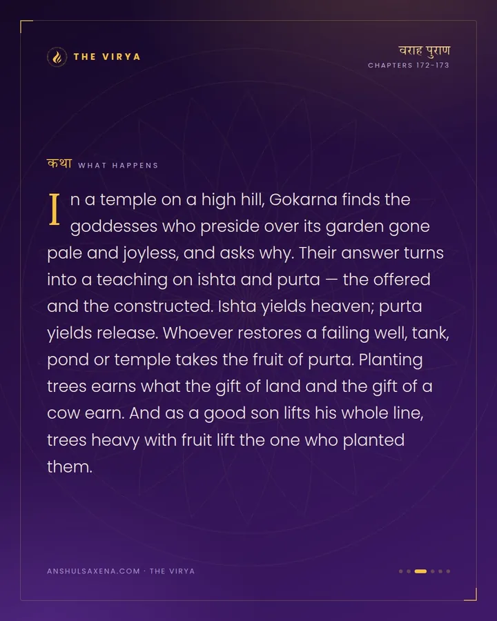 Plant a Tree, Cross the Hells, card 3 of 6