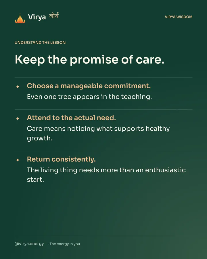 Forest-green Virya card. Keep the promise of care. Choose a manageable commitment. Even one tree appears in the teaching. Attend to the actual need. Care means noticing what supports healthy growth. Return consistently. The living thing needs more than an enthusiastic start.