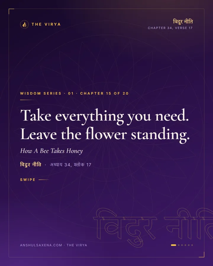 How A Bee Takes Honey, card 1 of 6