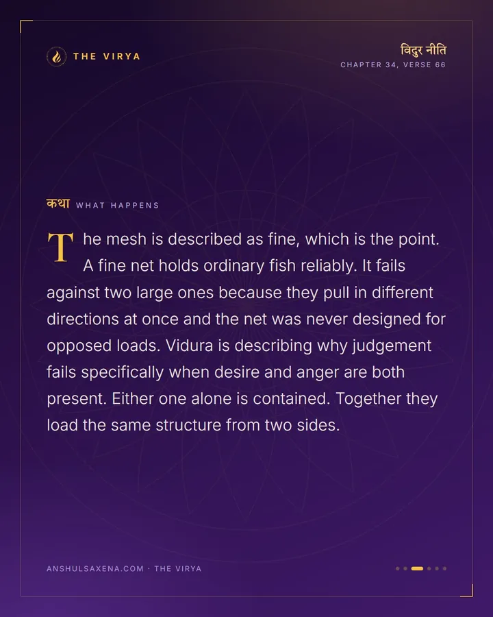Two Fish Tear The Net, card 3 of 6