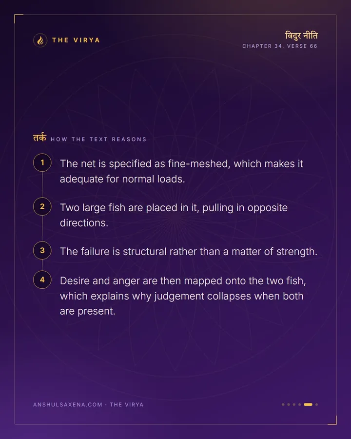 Two Fish Tear The Net, card 5 of 6