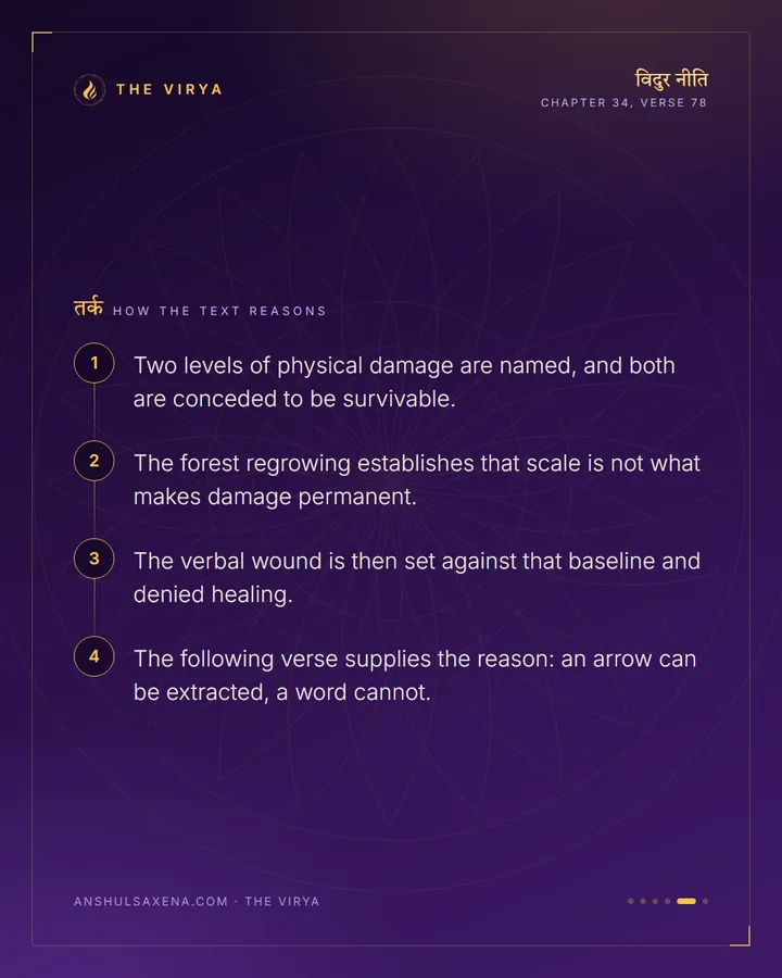 The Forest Grows Back, card 5 of 6
