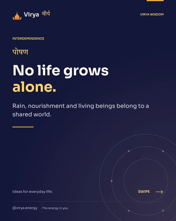 Indigo and gold Virya cover with the full lotus mark. No life grows alone. Rain, nourishment and living beings belong to a shared world.