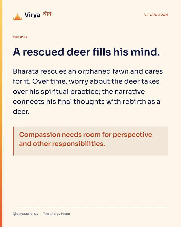 A rescued deer fills his mind. Bharata rescues an orphaned fawn and cares for it. Over time, worry about the deer takes over his spiritual practice; the narrative connects his final thoughts with rebirth as a deer. Compassion needs room for perspective and other responsibilities.