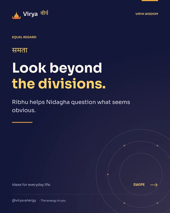 Indigo and gold Virya cover with the full lotus mark. Look beyond the divisions. Ribhu helps Nidagha question what seems obvious.