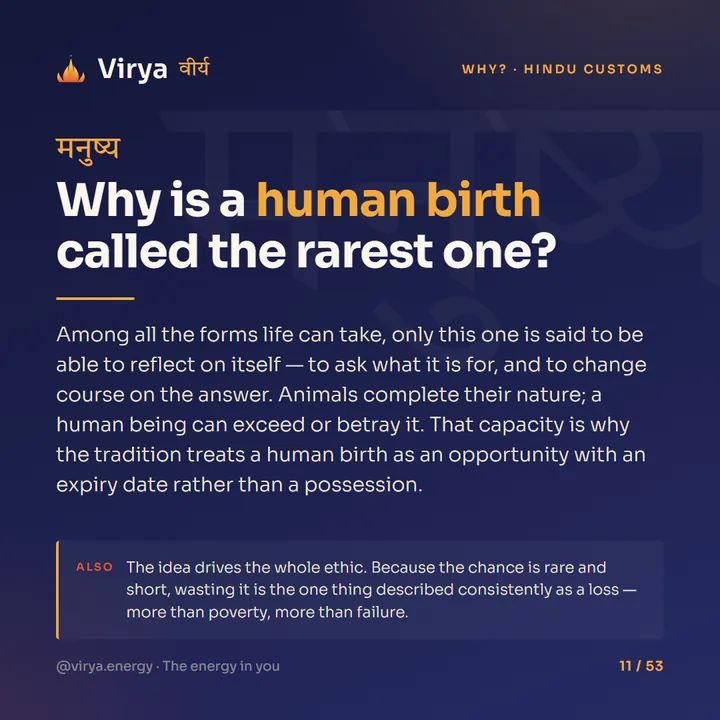 Why is a human birth called the rarest one?