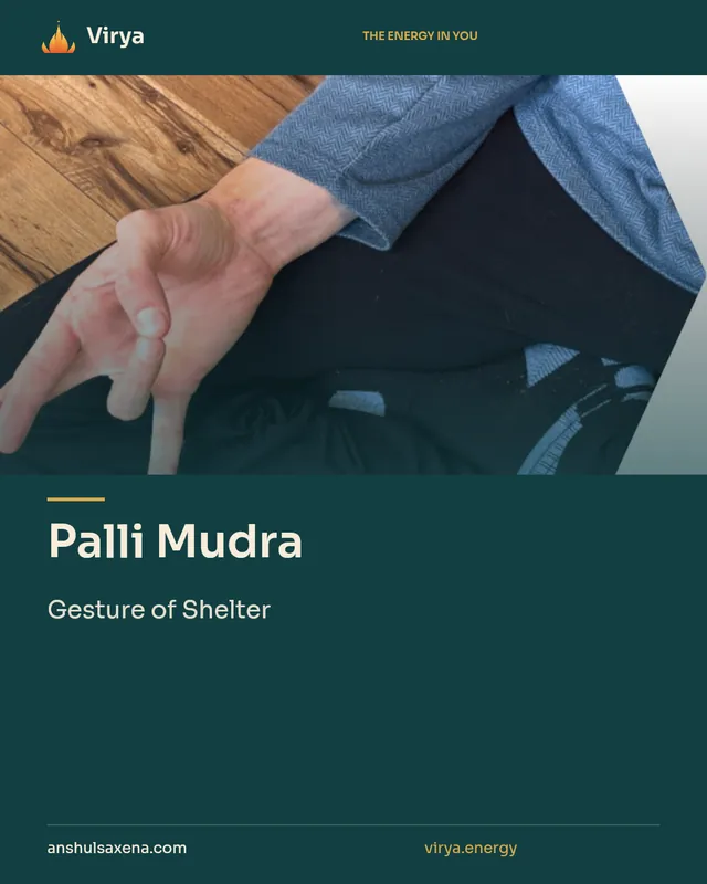 Palli Mudra. Gesture of Shelter. Virya. anshulsaxena.com. virya.energy.